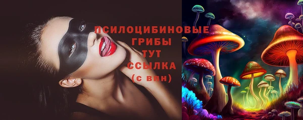 ГАЛЛЮЦИНОГЕННЫЕ ГРИБЫ Алексин