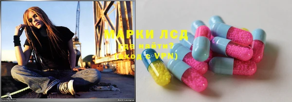 ГАЛЛЮЦИНОГЕННЫЕ ГРИБЫ Алексин