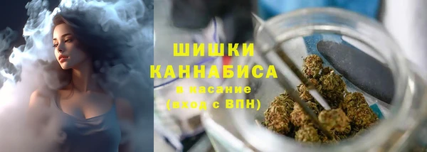 сатива Зерноград