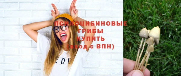 ГАЛЛЮЦИНОГЕННЫЕ ГРИБЫ Алексин